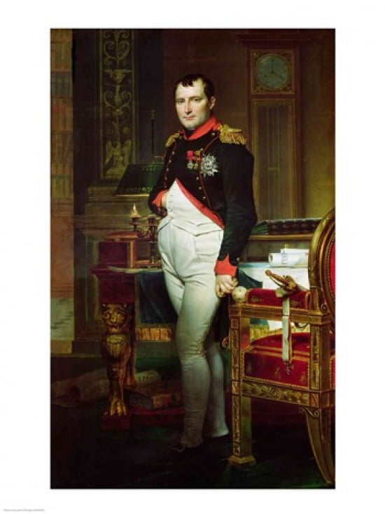 Napoleon Bonaparte Canvas Art - Jacques-Louis David (18 x 24)