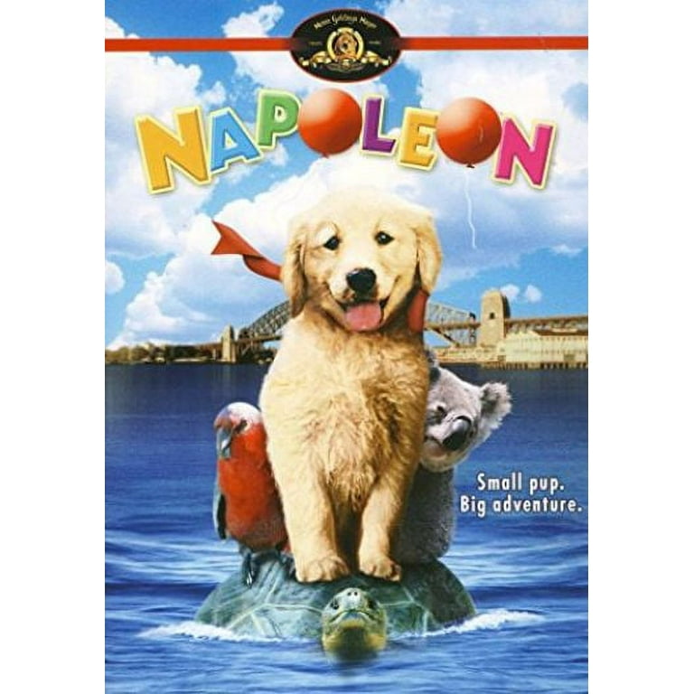 Napoleon [DVD] [DVD] 