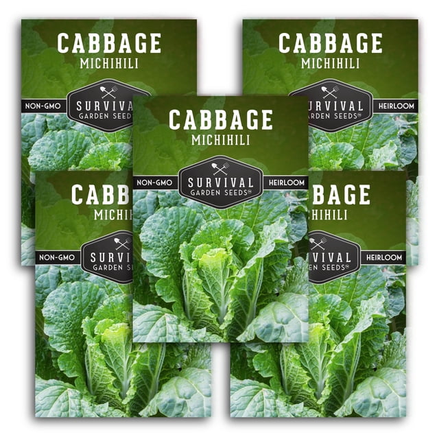 Nappa Michihili Cabbage Seeds - Full Sun Biennial Vegetable - 5 Packs ...
