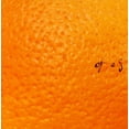 thumbnail image 1 of Naranja, 1 of 1