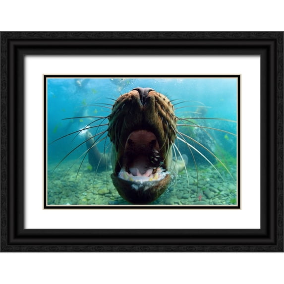 Narchuk, Andrey 14x11 Black Ornate Wood Framed with Double Matting Museum Art Print Titled - Just Kiss