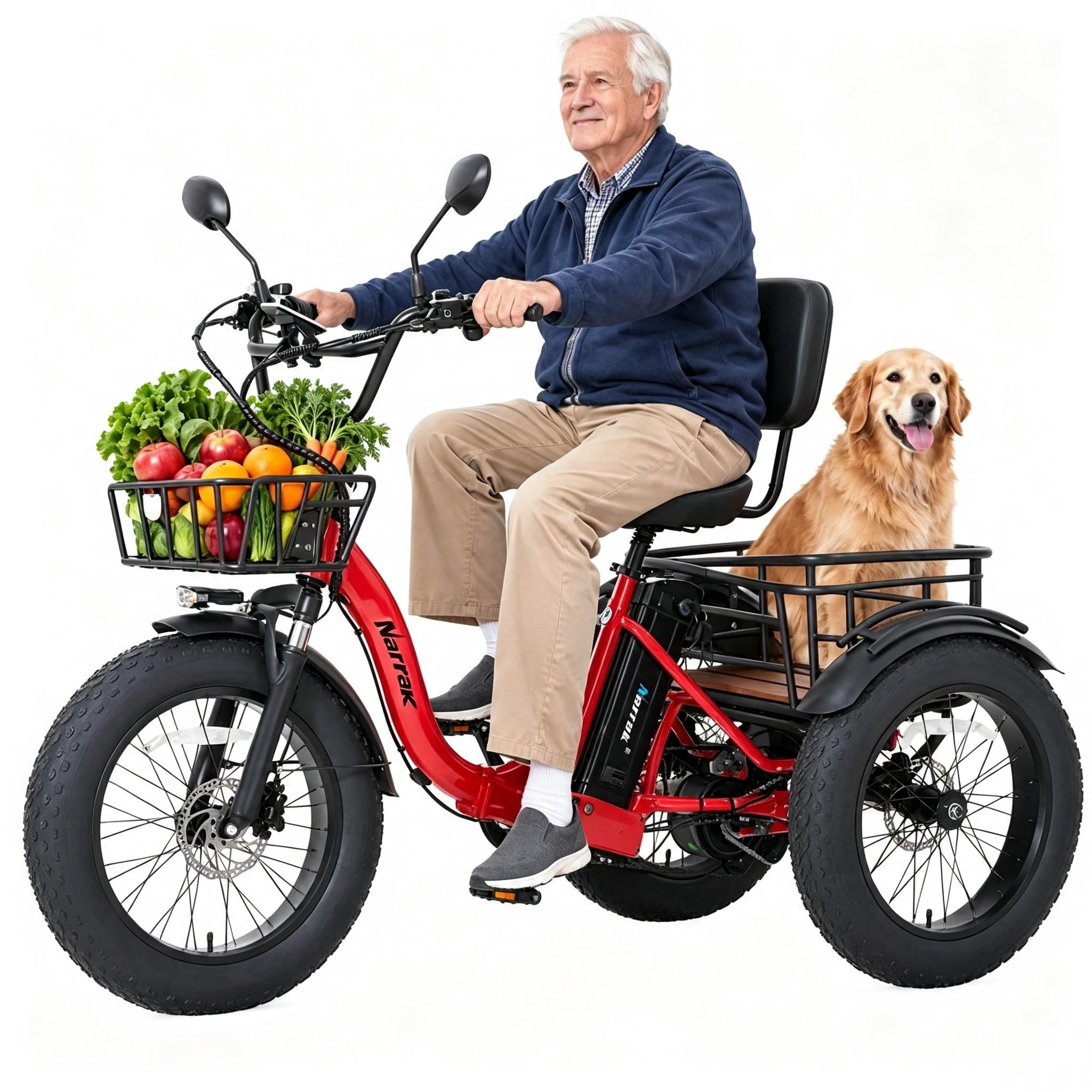 Narrak Adult Electric Folding Tricycle,750W(Peak1350W),48V13Ah Ebike,20"x4.0" Aluminum Fat Tire 3 Wheel Trike,Max 20MPH,Hydraulic Brake,Rear Motor Differential,For Adults