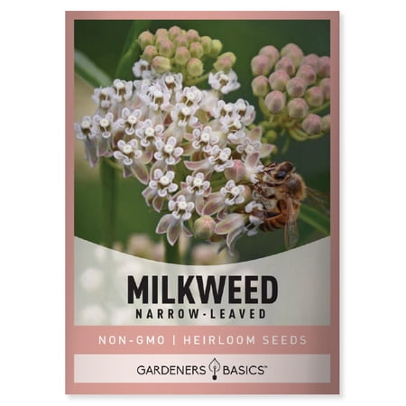 Narrow-Leaved (Whorled) Milkweed Seeds