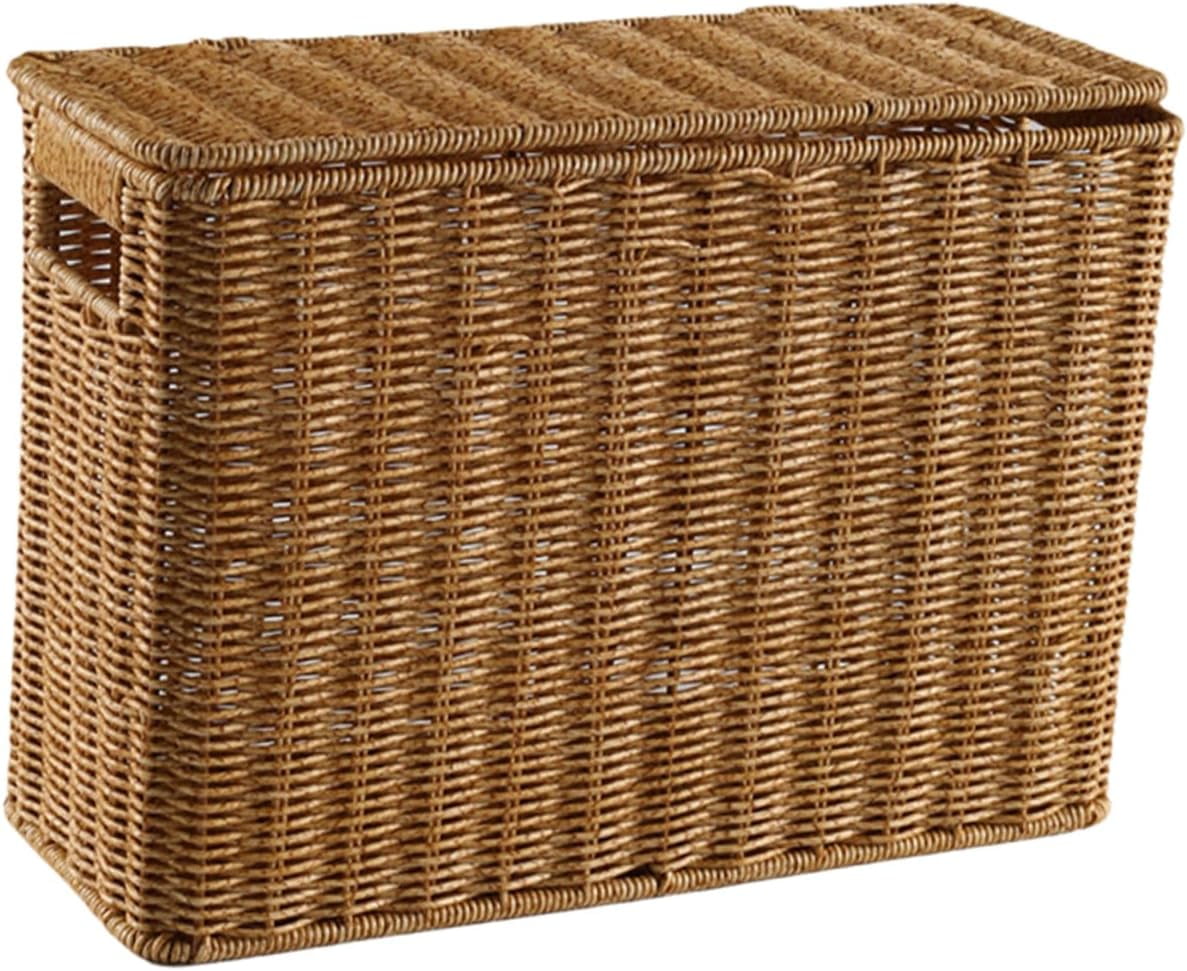 Narrow and Tall Storage Box with Lid Woven Storage Container Wicker