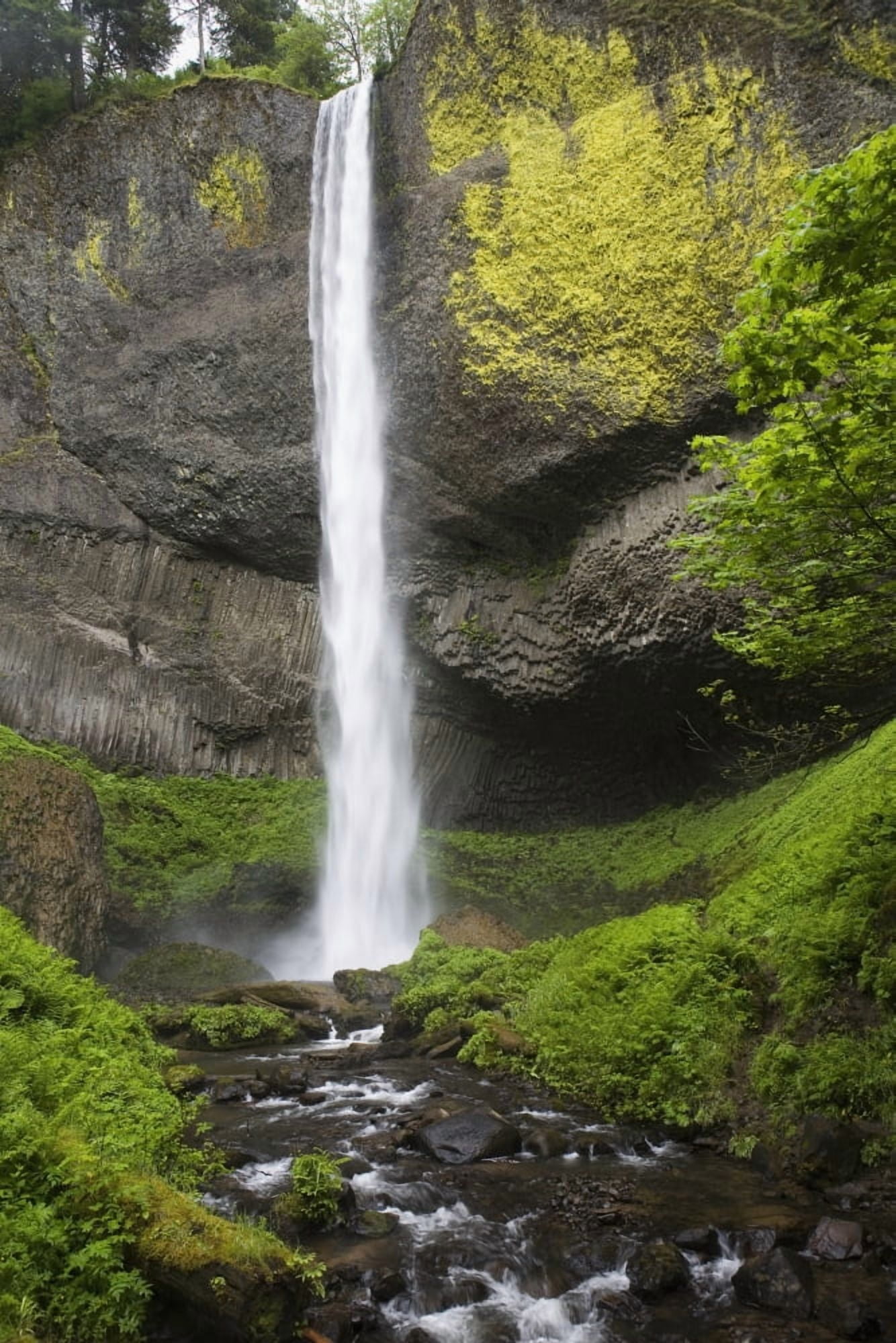Narrow Waterfall With Moss Covered Cliffs Oregon United States of America Canvas Art - Michael Interisano Design Pics (12 x 18)