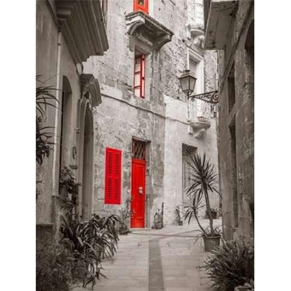 Narrow street through traditional maltese houses in Birgu Malta Poster Print by Assaf Frank