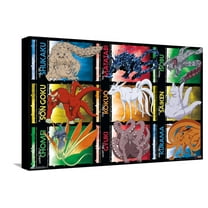 Naruto Shippuden - Biju Grid Canvas Wall Poster, 14.725" x 22.375"
