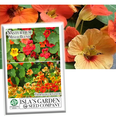 thumbnail image 1 of Nasturtium Blend Mixed Variety Flower Seeds, 50 Heirloom Flower Seeds Per Packet, Non GMO Seeds, 1 of 7