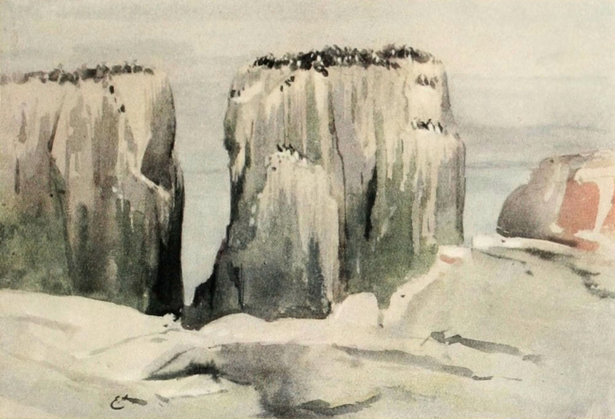 Nat Hist of the Highlands 1919 Guillemot Rocks Canvas Art - Edwin Alexander (18 x 24)