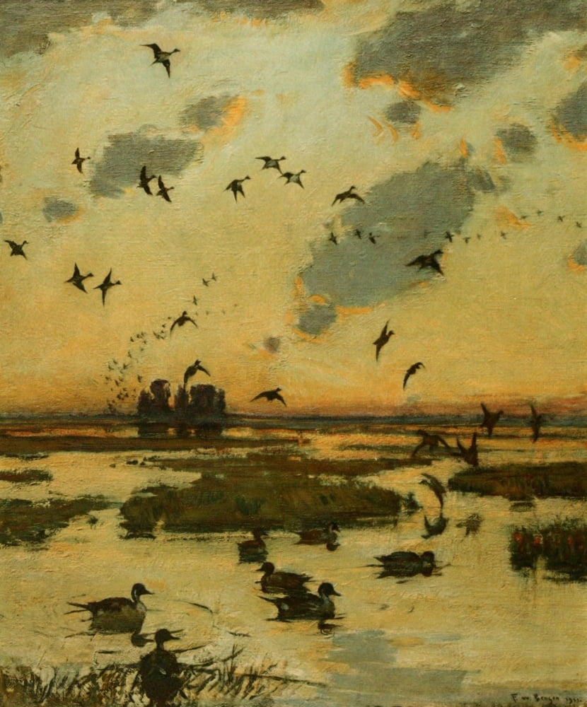 Nat History of Ducks 1925 Duck Marsh Canvas Art - FW Benson (18 x 24)