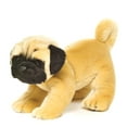 thumbnail image 1 of Nat and Jules Demdaco Nat and Jules Large Pug Plush Stuffed Animals, 1 of 5