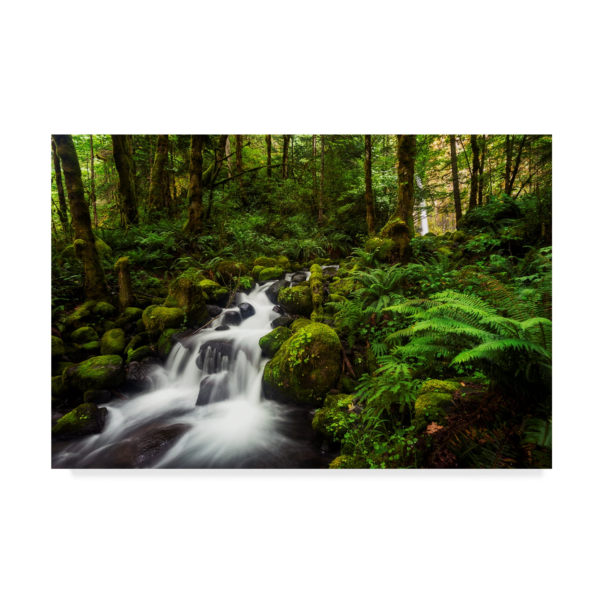 Natalie Mikaels 'Moment In Nature' Canvas Art