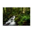 thumbnail image 1 of Natalie Mikaels 'Moment In Nature' Canvas Art, 1 of 4