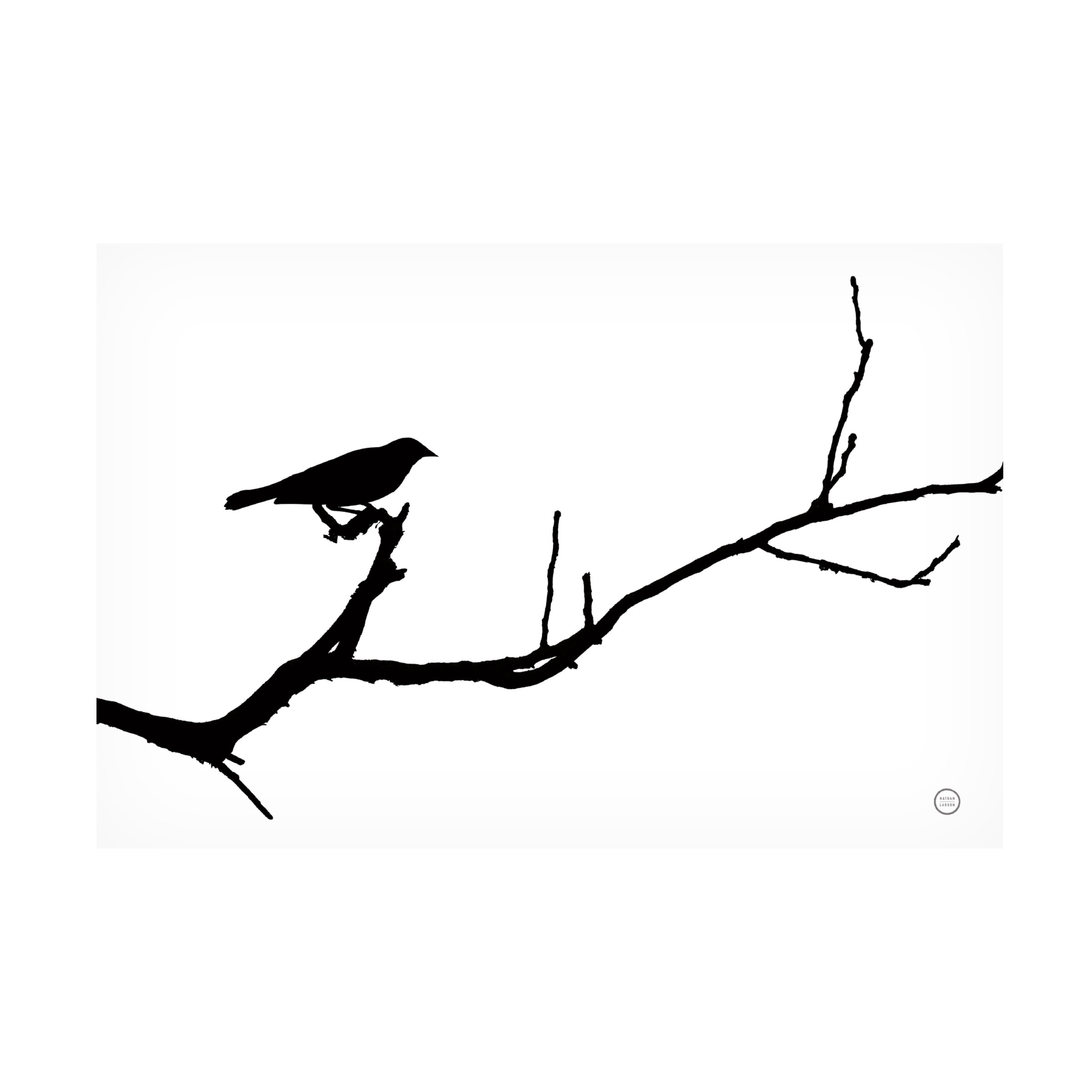 Black and White Bird Silhouette Canvas Art