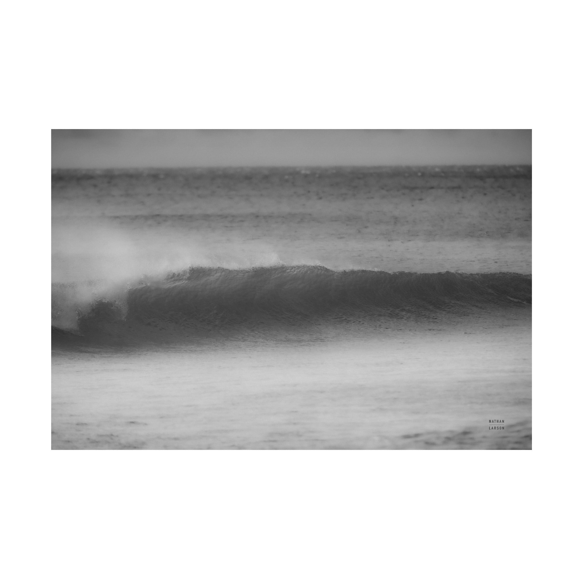 Nathan Larson 'Curling Lip BW' Canvas Art