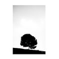 thumbnail image 1 of Nathan Larson 'Lone Tree Hill' Canvas Art, 1 of 4