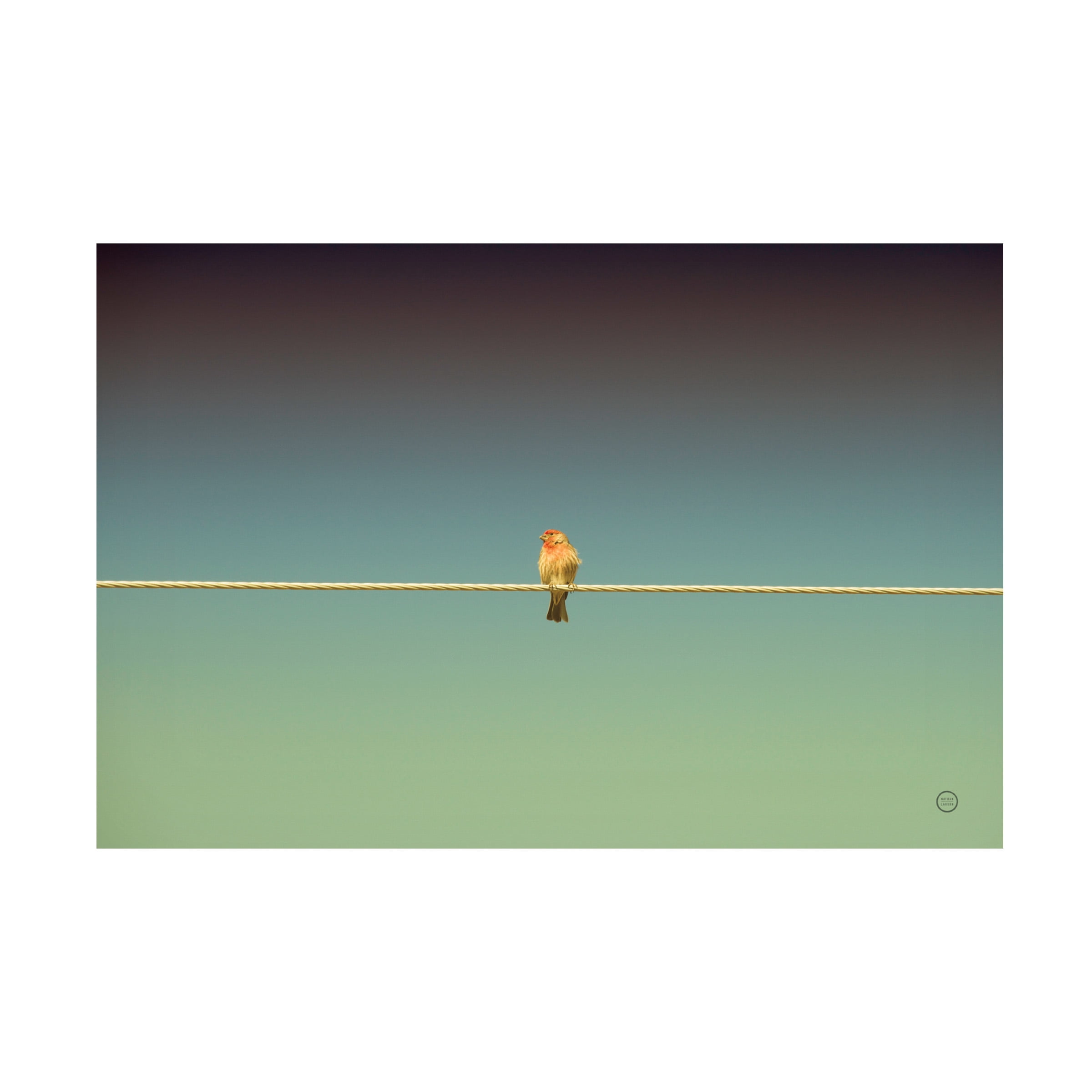 Nathan Larson 'Waiting' Canvas Art