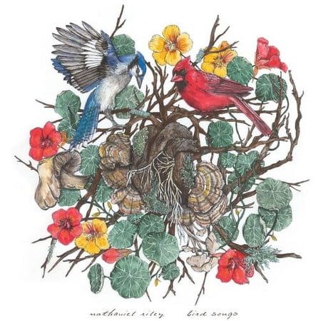 Nathaniel Riley - Bird Songs - Music & Performance - Vinyl