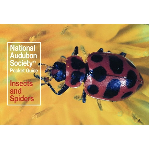 National Audubon Society Pocket Guides National Audubon Society Pocket Guide: Insects and Spiders, Book 0000, (Paperback)