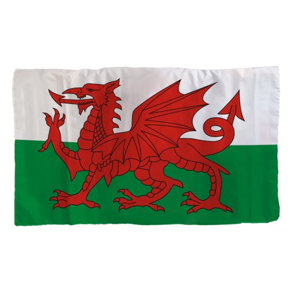 National Flag with Sleeves for Men Women Adult Wearable Flag Novelty Football Flag Decorative Craft