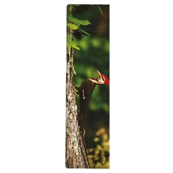 National Geographic 3-D Bookmark - Pileated Woodpecker