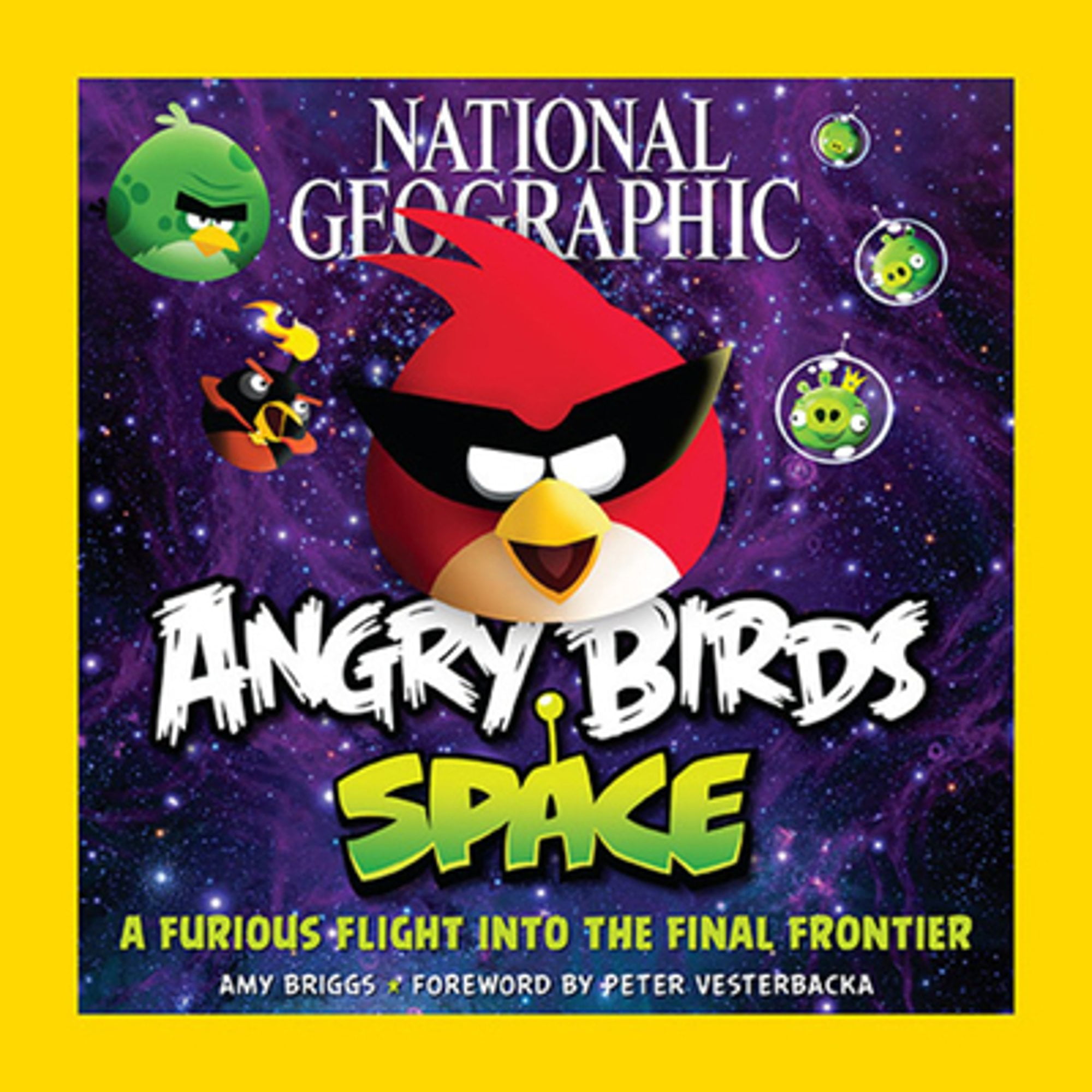 Pre-Owned National Geographic Angry Birds Space: A Furious Flight Into the Final Frontier Paperback Amy Briggs