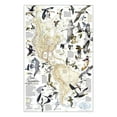 thumbnail image 1 of National Geographic Bird Migration, Western Hemisphere Map, Laminated, 20.25" x 31.25", 1 of 3