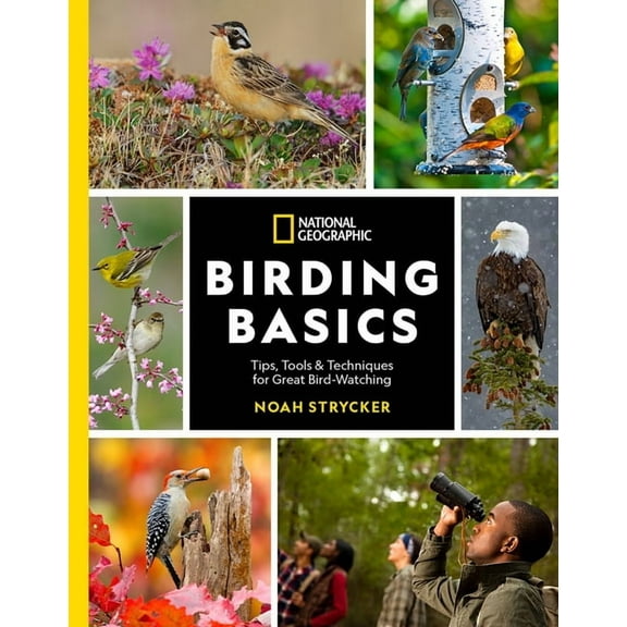 National Geographic Birding Basics : Tips, Tools, and Techniques for Great Bird-watching (Paperback)