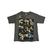 NATIONAL GEOGRAPHIC Boys Gray Short Sleeved Dinosaur Tee Shirt T-Shirt 4