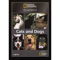 thumbnail image 1 of National Geographic Classics: Cats And Dogs DVD, 1 of 1