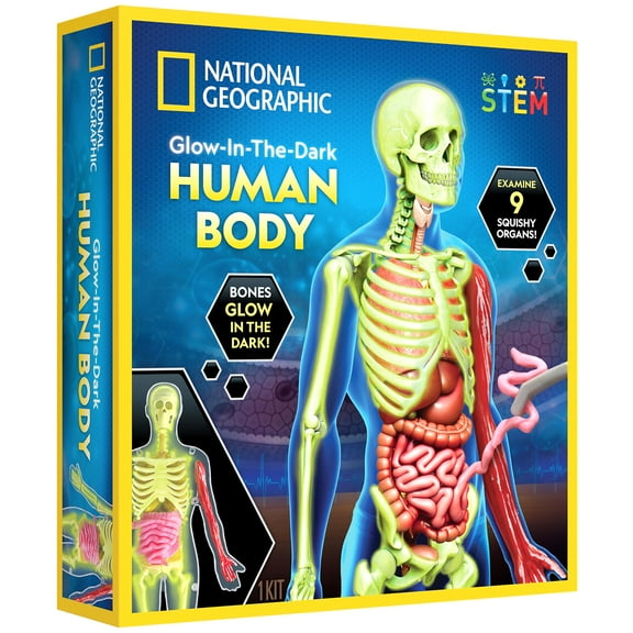 National Geographic Glow in the Dark Human Body Anatomy Models for Child 8 Years and up