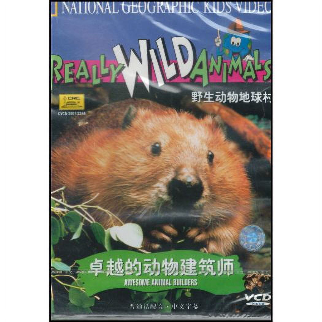Amazon.com: Ricky Gervais Live: Animals : Movies & TV