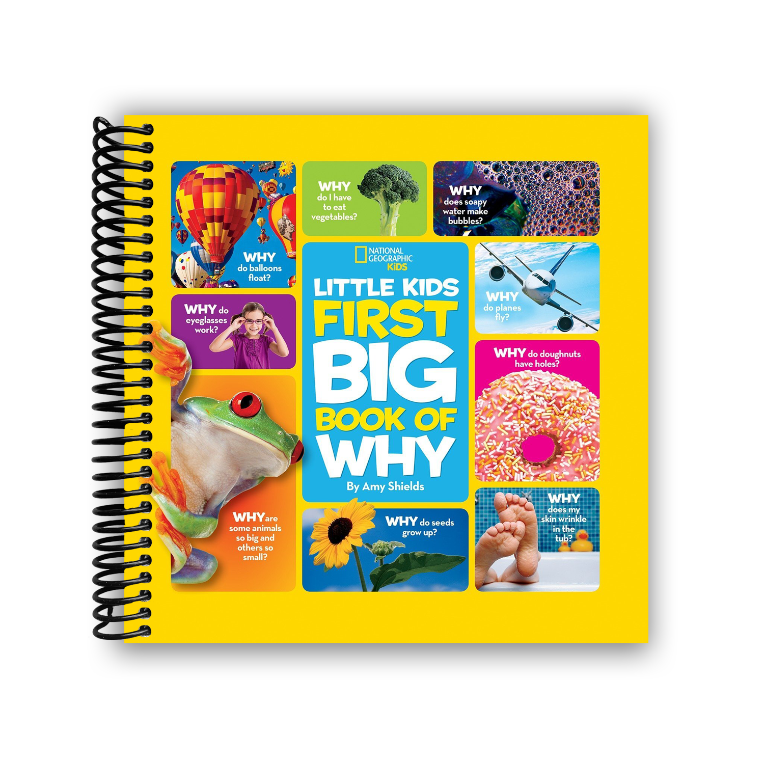 National Geographic Kids First Big Book Of World
