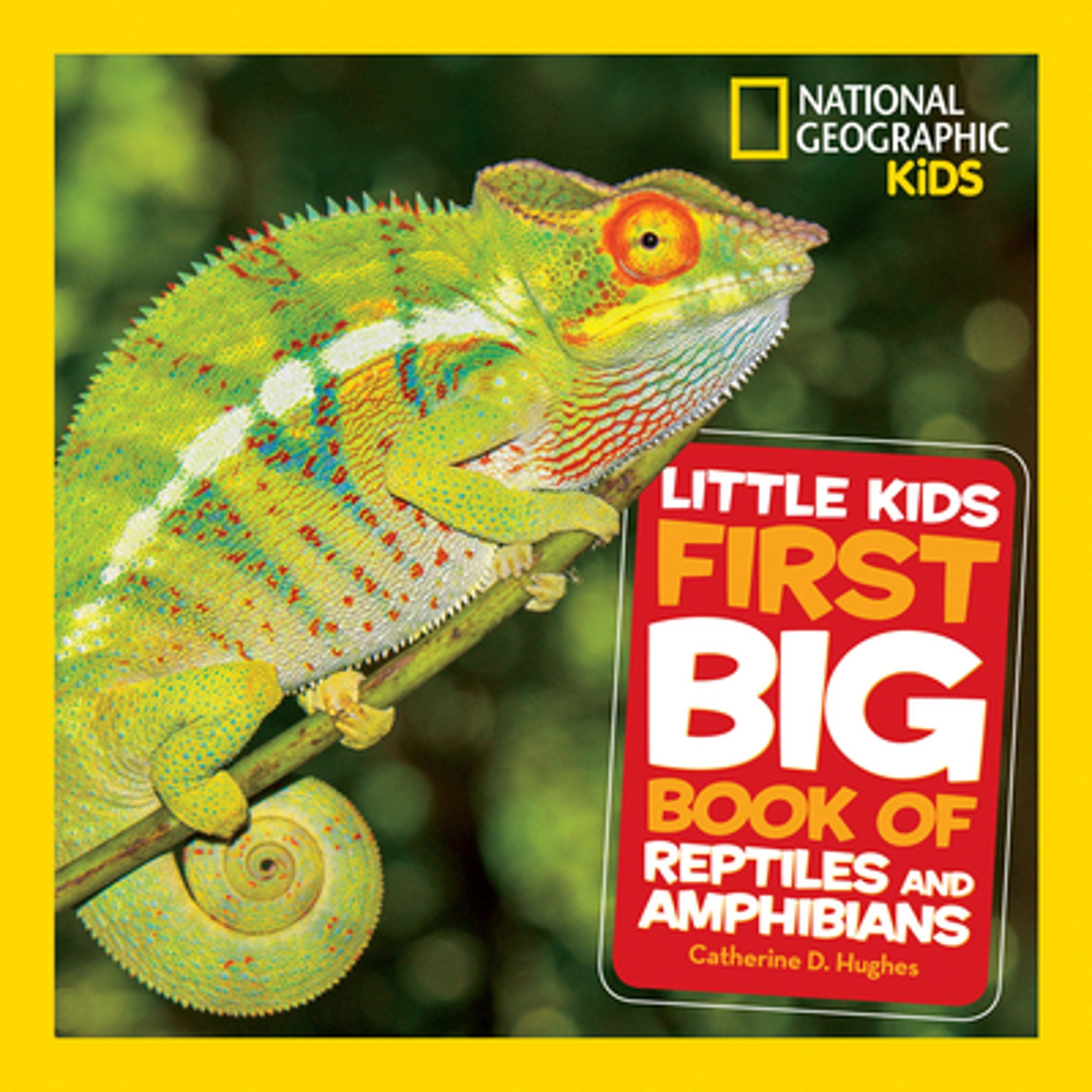 National Geographic Little Kids First Big Book of Reptiles and Amphibians (Hardcover) by Catherine D Hughes