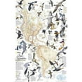 thumbnail image 1 of National Geographic Maps Bird Migration, Western Hemisphere Wall Map, 1 of 1