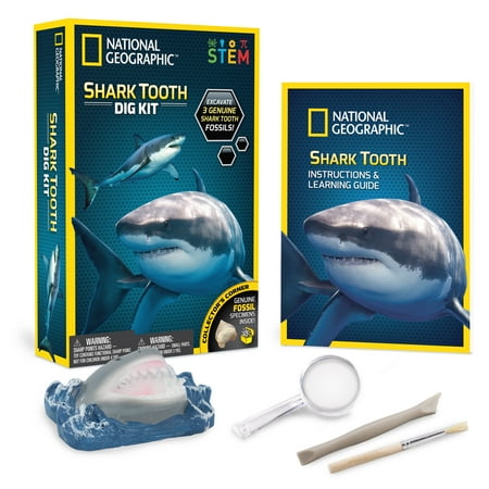 National Geographic Shark Tooth Dig Kit, Includes 3 Real Shark Tooth Fossils