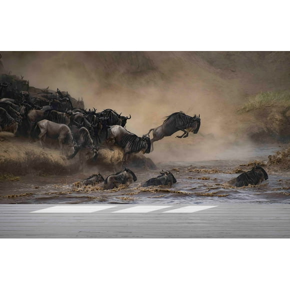 National Geographic Wallpaper, Modern Wallpaper, Bright Wallpaper, 3d Wallpaper, Safari Landscape Wall Mural, Wallpaper (Peel&Stick Paper)