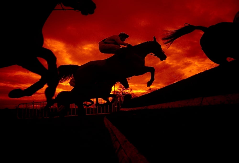 National Hunt Ireland Canvas Art - The Irish Image Collection Design Pics (18 x 12)