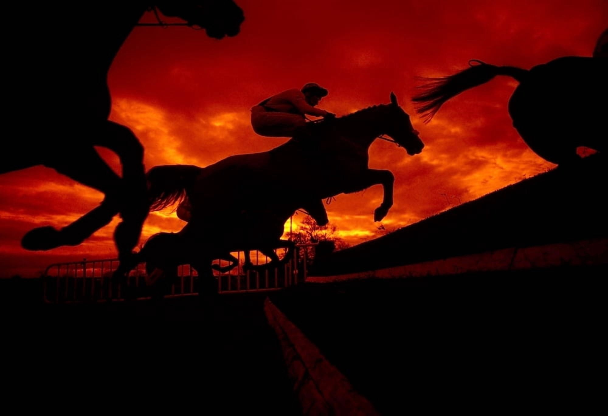 National Hunt Ireland Canvas Art - The Irish Image Collection Design Pics (36 x 24)