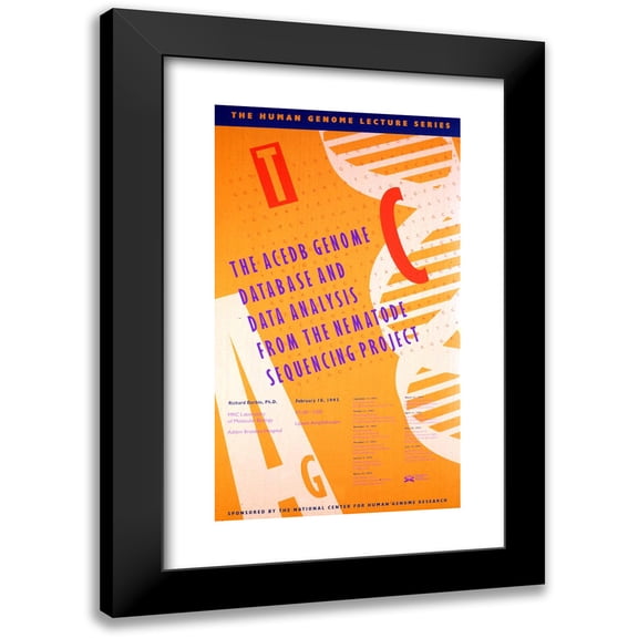 National Institutes of Health 10x14 Black Modern Framed Museum Art Print Titled - The Acedb Genome Database and Data Analysis from the Nematode Sequencing Project (1993)