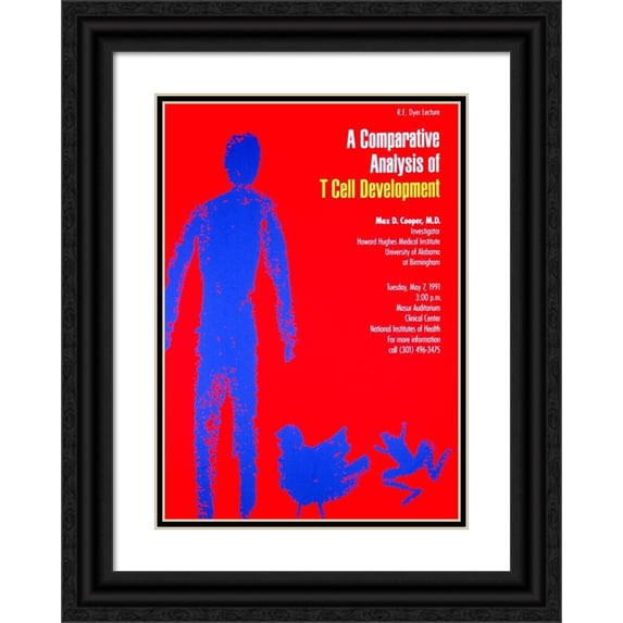National Institutes of Health 11x14 Black Ornate Wood Framed Double Matted Museum Art Print Titled: A Comparative Analysis of T Cell Development (1991)