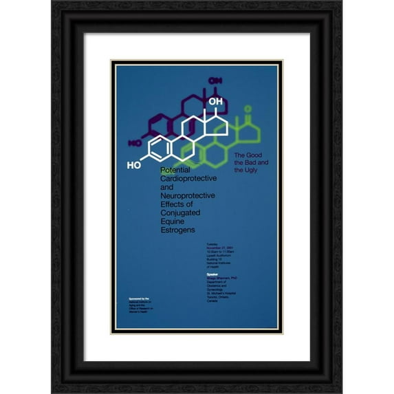 National Institutes of Health 11x14 Black Ornate Wood Framed Double Matted Museum Art Print Titled: Potential Cardioprotective and Neuroprotective Effects of Conjugated Equine Estrogens (200