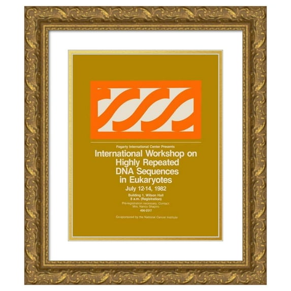 National Institutes of Health 12x14 Gold Ornate Wood Frame and Double Matted Museum Art Print Titled - International Workshop on Highly Repeated Dna Sequences in Eukaryotes (1982)