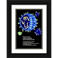 thumbnail image 1 of National Institutes of Health 13x18 Black Ornate Wood Framed Double Matted Museum Art Print Titled - Protect Yourself; Protect Our Patients; Get the Influenza Vaccine, 1 of 5
