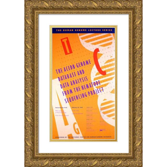 National Institutes of Health 15x24 Gold Ornate Framed and Double Matted Museum Art Print Titled - The Acedb Genome Database and Data Analysis from the Nematode Sequencing Project (1993)