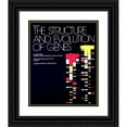 thumbnail image 1 of National Institutes of Health 15x18 Black Ornate Wood Framed Double Matted Museum Art Print Titled - The Structure and Evolution of Genes (1979), 1 of 5