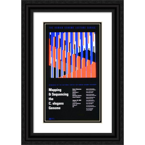 National Institutes of Health 15x24 Black Ornate Framed Double Matted Museum Art Print Titled: Mapping and Sequencing the C. Elegans Genome (1992)