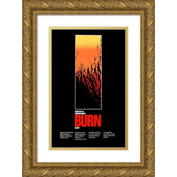 National Institutes of Health 17x24 Gold Ornate Framed and Double Matted Museum Art Print Titled - Frontiers in Understanding Burn Injury (1983)