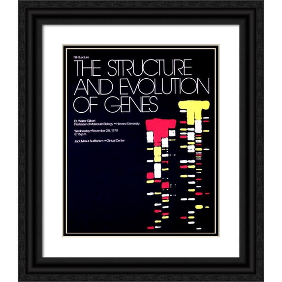 National Institutes of Health 20x24 Black Ornate Framed Double Matted Museum Art Print Titled: The Structure and Evolution of Genes (1979)