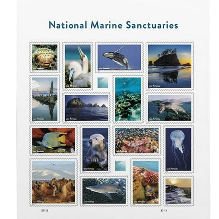 National Marine Sanctuaries USPS Forever Postage Stamp 1 Sheet of 16 US First Class Postal Ocean Sea Fish Coral Water Birthday Anniversary Wedding Celebrate (16 Stamps)